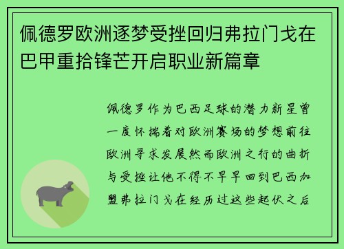 佩德罗欧洲逐梦受挫回归弗拉门戈在巴甲重拾锋芒开启职业新篇章